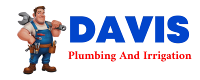 Trusted plumber in NIVERVILLE